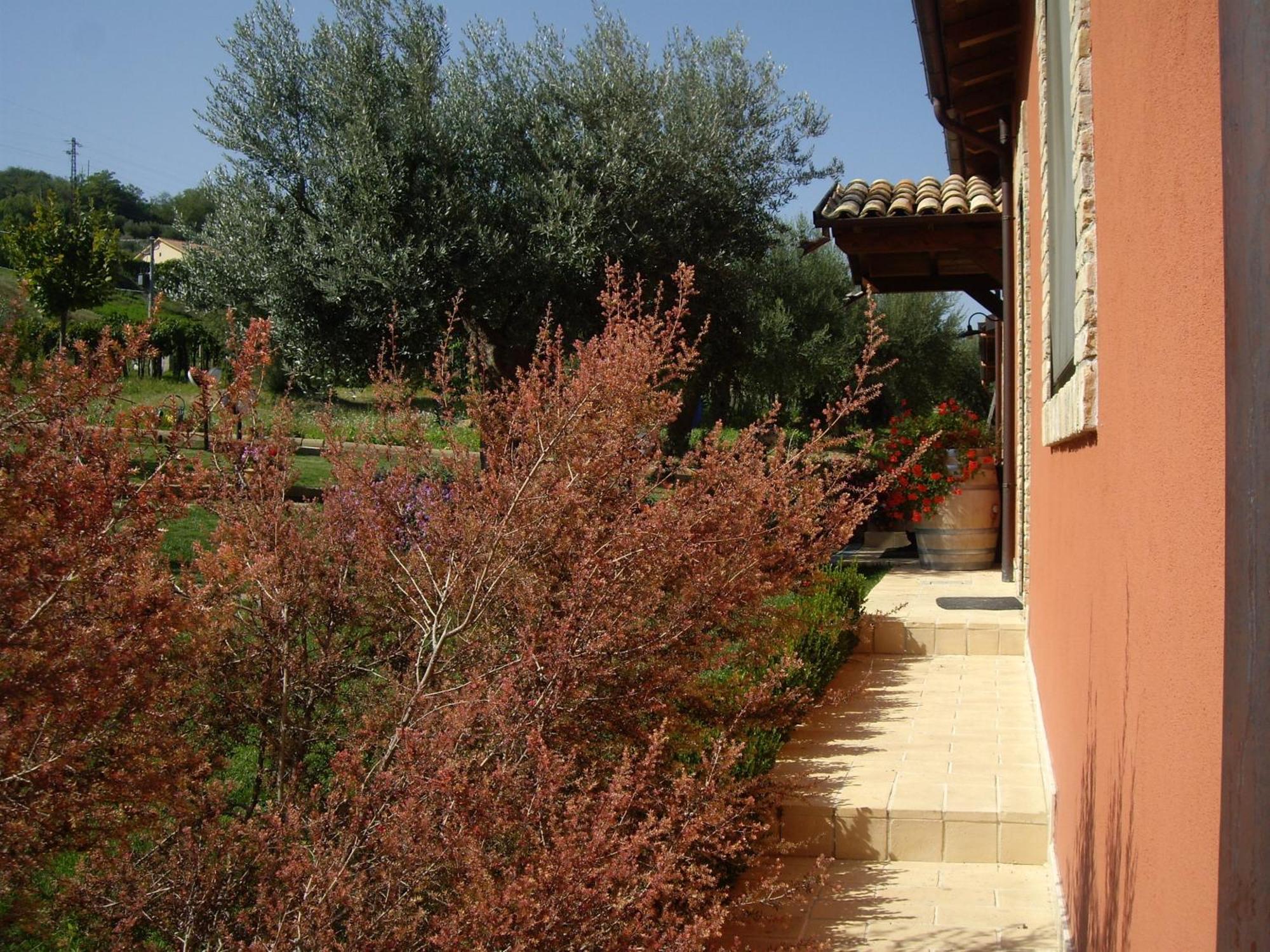 Agriturismo Il Borgo Degli Ulivi Roseto Degli Abruzzi Εξωτερικό φωτογραφία