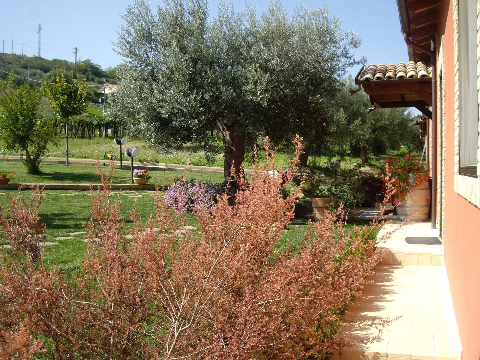 Agriturismo Il Borgo Degli Ulivi Roseto Degli Abruzzi Εξωτερικό φωτογραφία