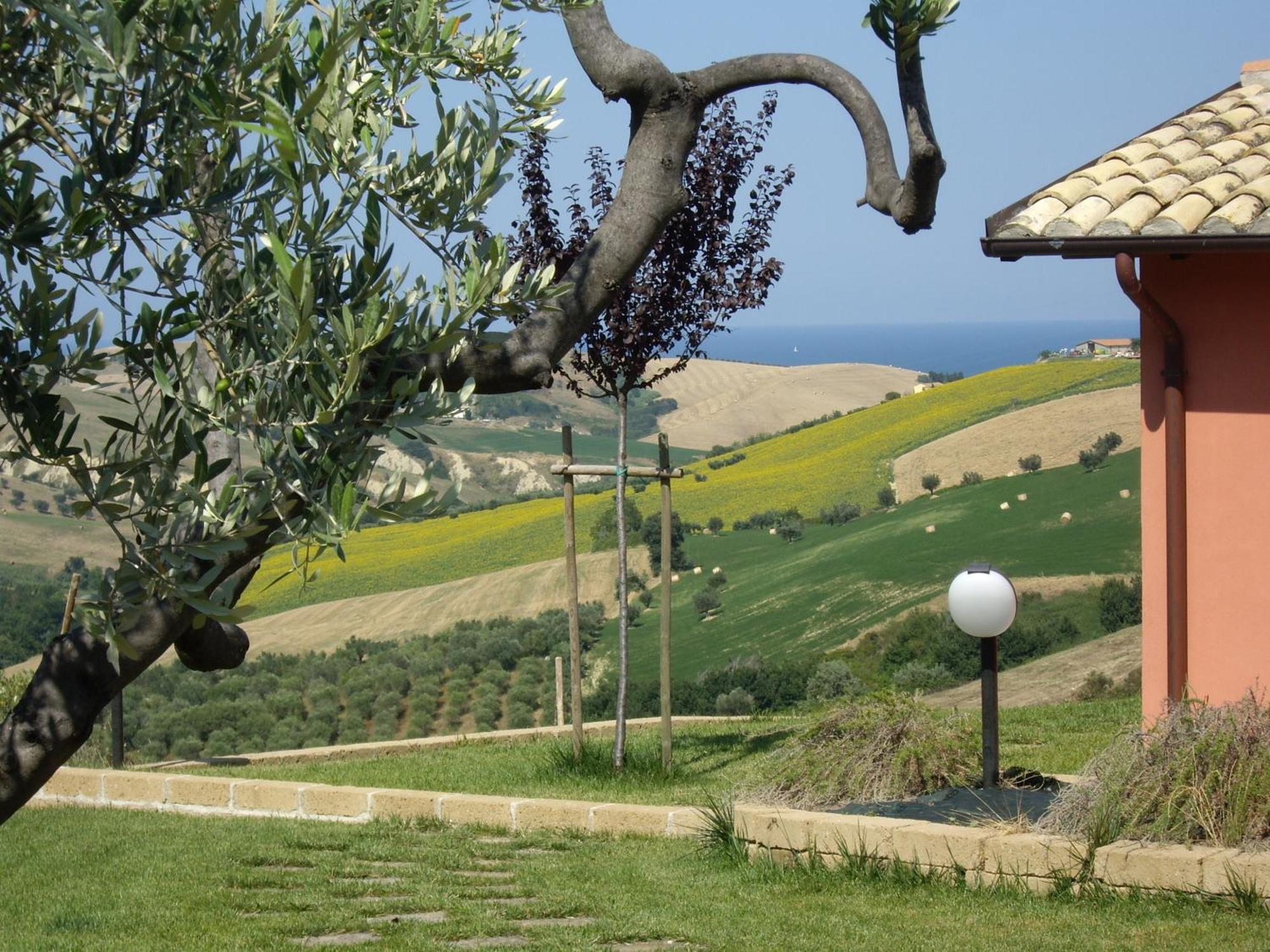 Agriturismo Il Borgo Degli Ulivi Roseto Degli Abruzzi Εξωτερικό φωτογραφία